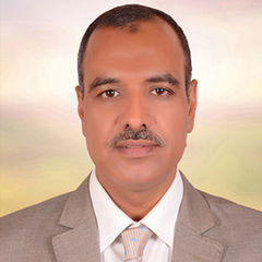 Abdel-Halim Mohamed Abdel-Aziz, Electrical Assistant Manager