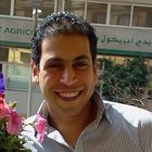 Ramy Radwan, General Financial Accountant