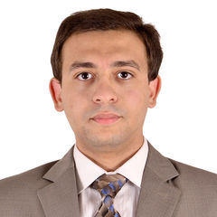 Ahmed Abu ElFotouh, Electrical Engineer