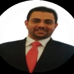 Mahmoud Mohamed Mokhtar  EL-Deyarby