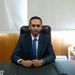 Alaa Al Gendy, Team Leader -Financial and Regulatory Reporting