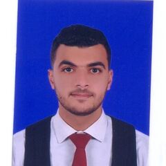 Ahmed Fared Mohamed, Software Engineer