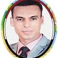 Hassan Abdelmoamen, Power Plant Operation Engineer