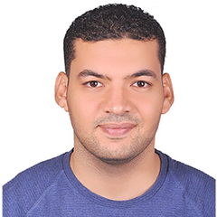 HOSSAM HASSAN MOHAMMED  ELHADAD