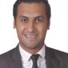 Tamer El Saeidy, Cost Control Area Manager