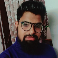 Syed Ameenul hassan