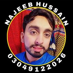 Najeeb Hussain, Electrician