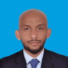 Wadah Mustafa, Freelancer Accountant