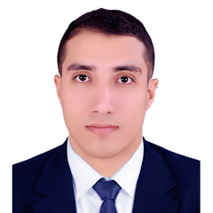 Abdel Rahman Ahmed, Human Capital Supervisor