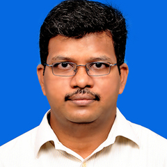 Saravanan  Paramasivam, Business Analyst