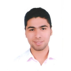 Mohamed haidar, Executive Assistant