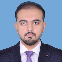 Amir Shahzad Chaudhry