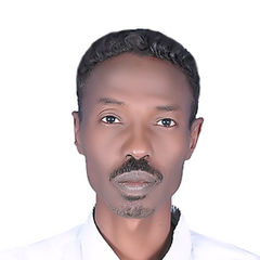 Mohammed Ibrahim Adam, مرشد غابات