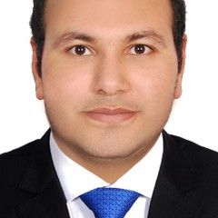 Saeed Saeed Abdel Fattah Elgendy, Chief Accountant