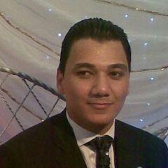 هشام محمد امين امين, Technical office manager