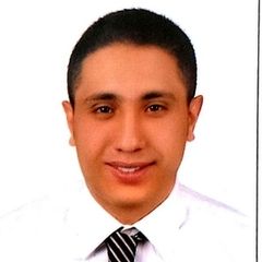 محمود الليثي, Customer Service Advisor