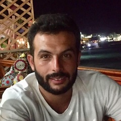Amr Mohammed Aboetman