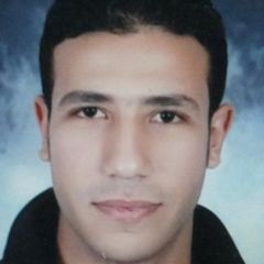 Mohammed Essam, Oracle Developer