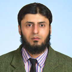 Adnan Rauf, SERVICE PROVIDER GIS