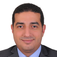 Ahmed Yehia, Assistant General Manager Project & Solution Delivery Manager