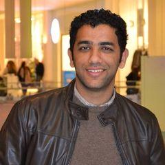 Mostafa Mohamed Ragaee, projects Engineer