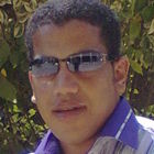 محمود أحمد محمد أمين, مدرب السوفت وير