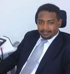محمد الأمين بكري أحمد صالح, محاسب رئيسي
