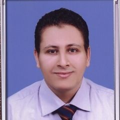 Amr Yusry Ali, Senior/Chief Accountant