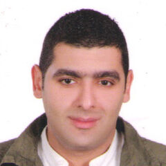 احمد محمد يوسف محمود, محاسب