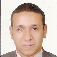 Hamdy El-Sherbini, Senior Electrical Project Engineer