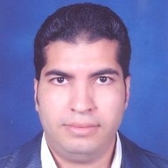 Mahmoud Soliman, Senior research assistance