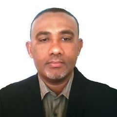 Magdi Ahmed, Associate Consultant