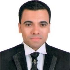 Mohamed Farouk Abd El Fatah El Ghotmy,  Cost & Stock Control Supervisor 