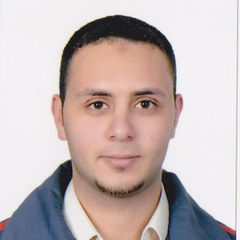 Obada Moustafa ElSharbatly, Owner