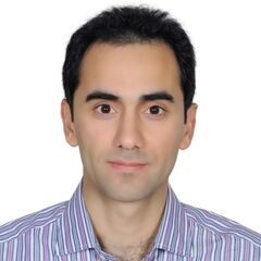 RAMZI QIBLAWI, Project and Technical Solutions Manager