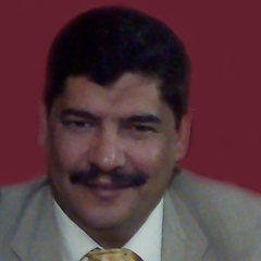عماد إبراهيم, Business analyst , information technlogy Manager , industrial engineering 