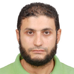 Amr ELSayed Ahmed ELSayed Ahmed Ibrahem, senior engineer