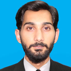 Muhammad Ameer HAMZA, IT Manager