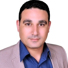MAHMOUD ABDELSALAM ABDELAZIZ  ALI, Engineering Manager