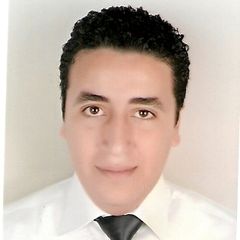 muhamed refaay, Senior Auditor