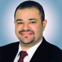 Tarek Sultan, Software Project Manager