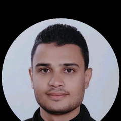 Amr Hamam, instrumentation and control Engineer