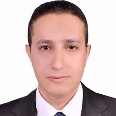 احمد عبد الفتاح محمد  منسي, مدير مالي - مستشار مالي