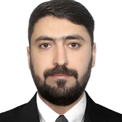 Hassan Sardar, Sales Consultant