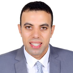 mahmoud mokhtar, Accounting Supervisor