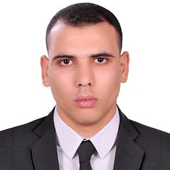 محمود سمير حسين محمد, محامي في مجال القانون