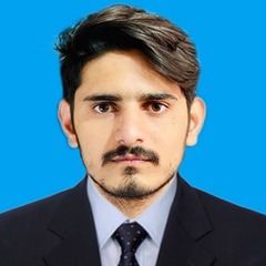 Muhammad Daniyal Khan, Audit Associate