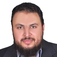 أحمد نصر الدين عبد الفتاح, IT manager 