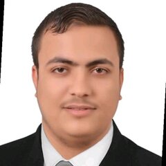 علي  ابوالحسن, marketing manager