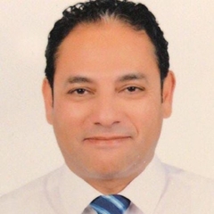 Ahmed Abdelrazek, company: CEO Deputy